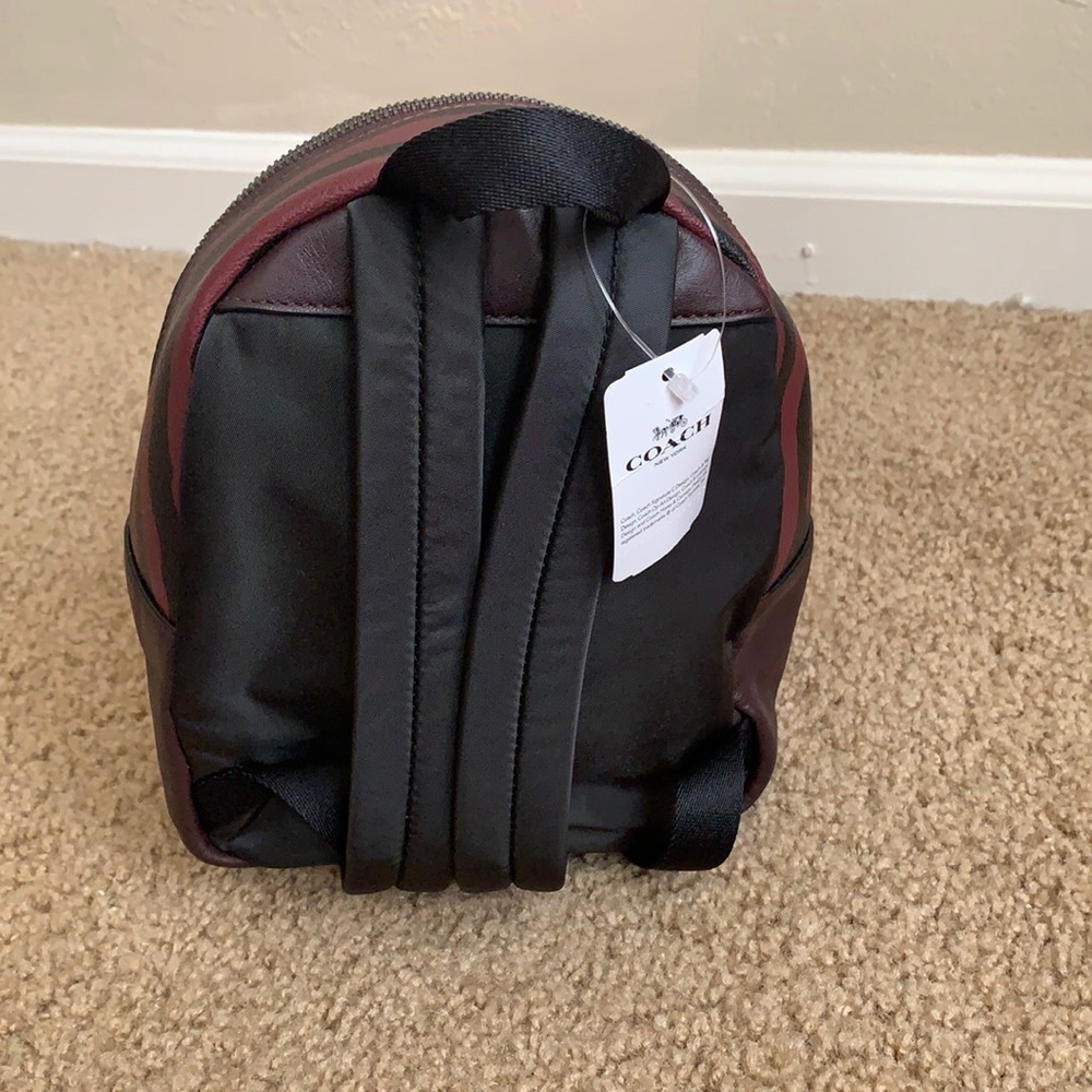 Coach - Picture 5 of 15